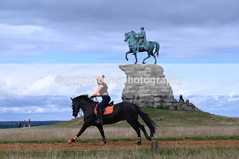 DSC_8854 - Time at Statue 14:33 to 15:10
