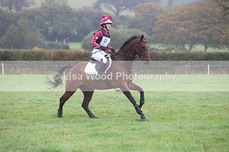 JPP_5004 - Class 1: 65cm : Showjumping