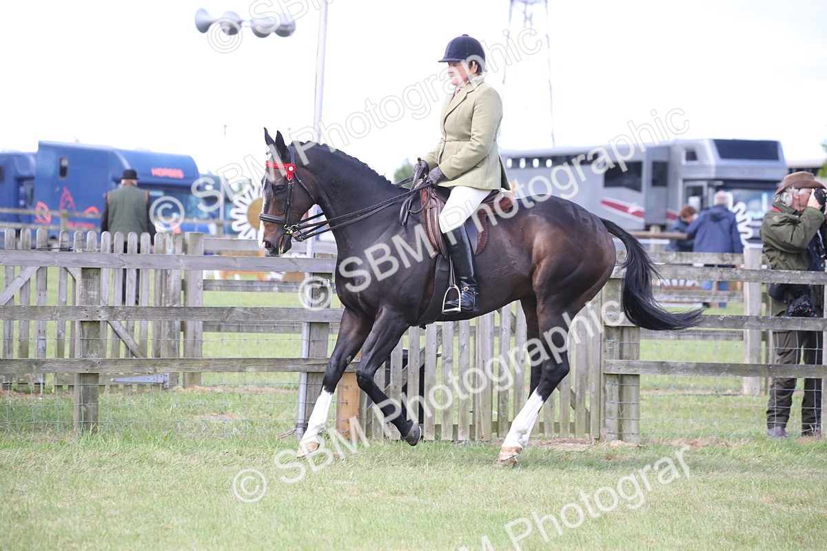 SBM_14205 - Class 113-114 - Retraining of Racehorses Ridden