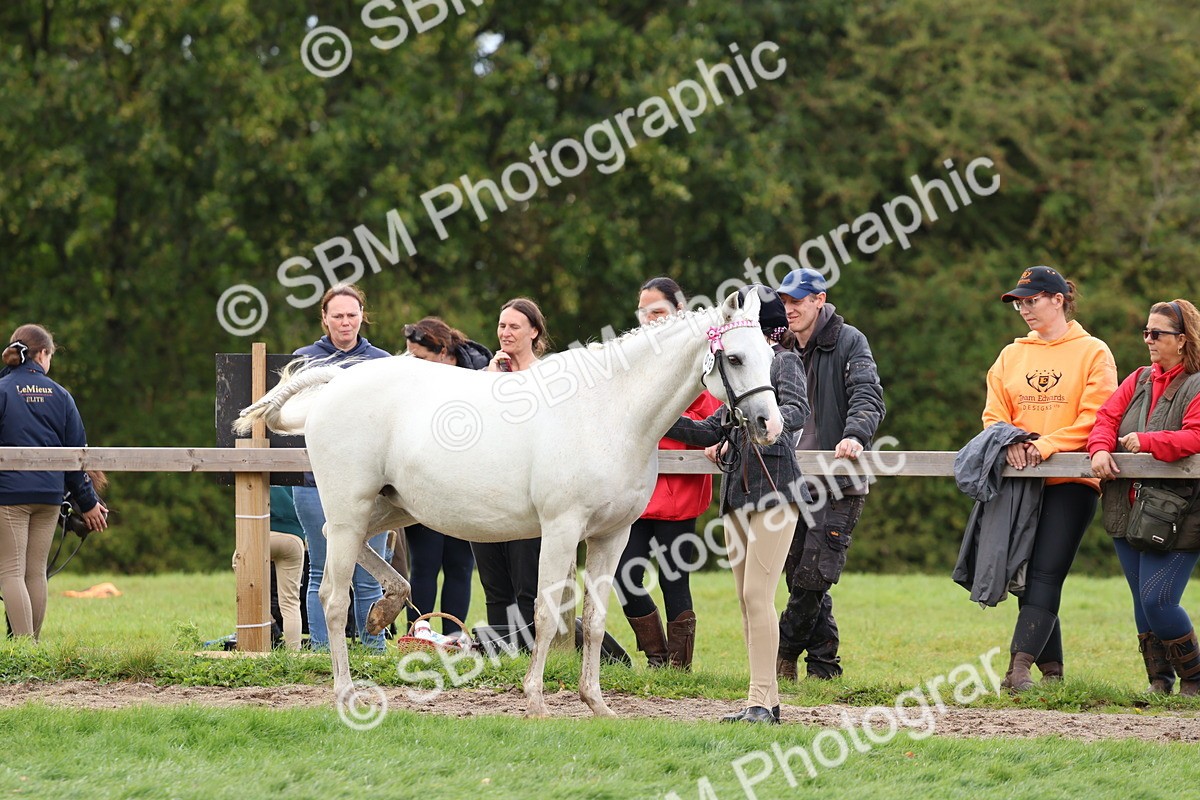 SBM_39470 - S24 - Young Veteran In Hand