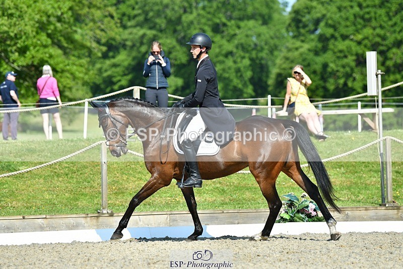 230525-092846-03750 - 405-MATTERHORN_RISING-Arthur_Duffort-DR