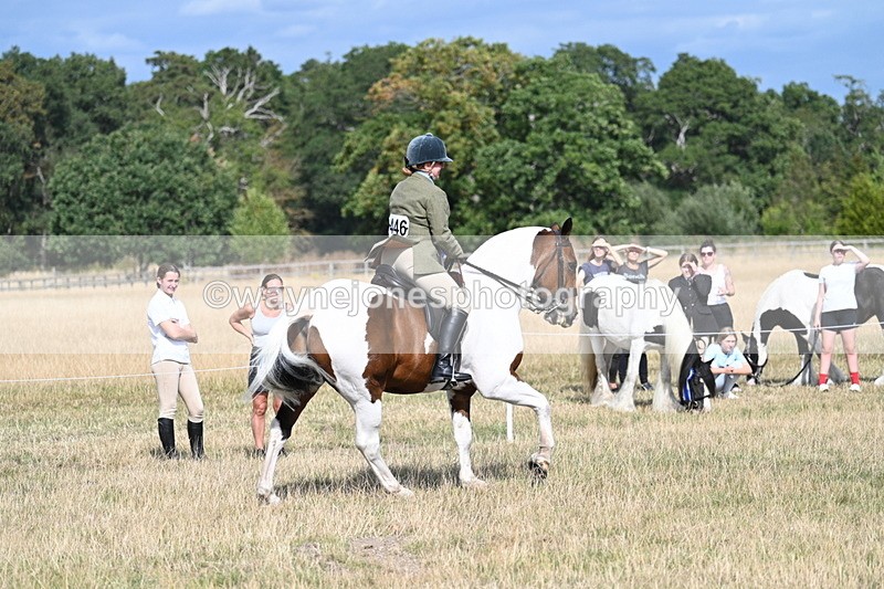 WJ7_7431 - Class 14 Ridden Coloured