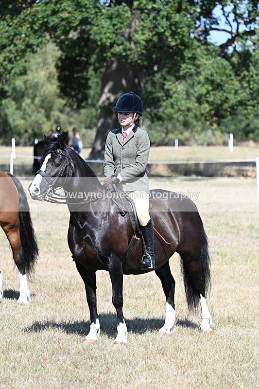 WJ7_4125 - Class 9 Mountain & Moorland Ridden