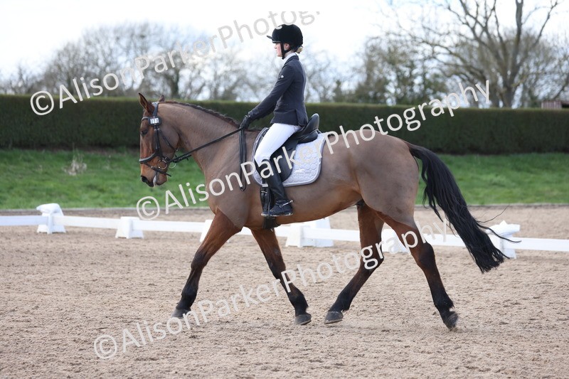 20260228-0802 - Class 6 - Novice 3