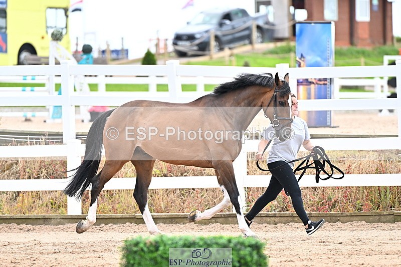 240718A-105326-02001 - Trot Up 2pm to 3pm - This folder is not in time order