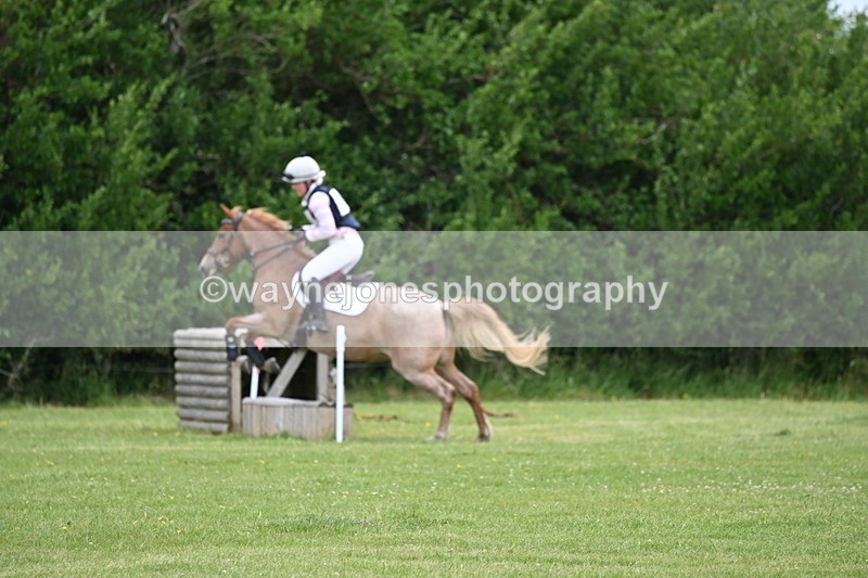 WJ6_2437 - Class 2 40cm