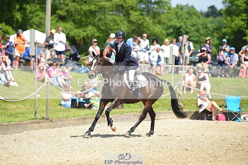 230528-113720-15289 - 320-CAVALIER_GUNFIRE-Tabitha_Baker-SUNTrotUp+SJ