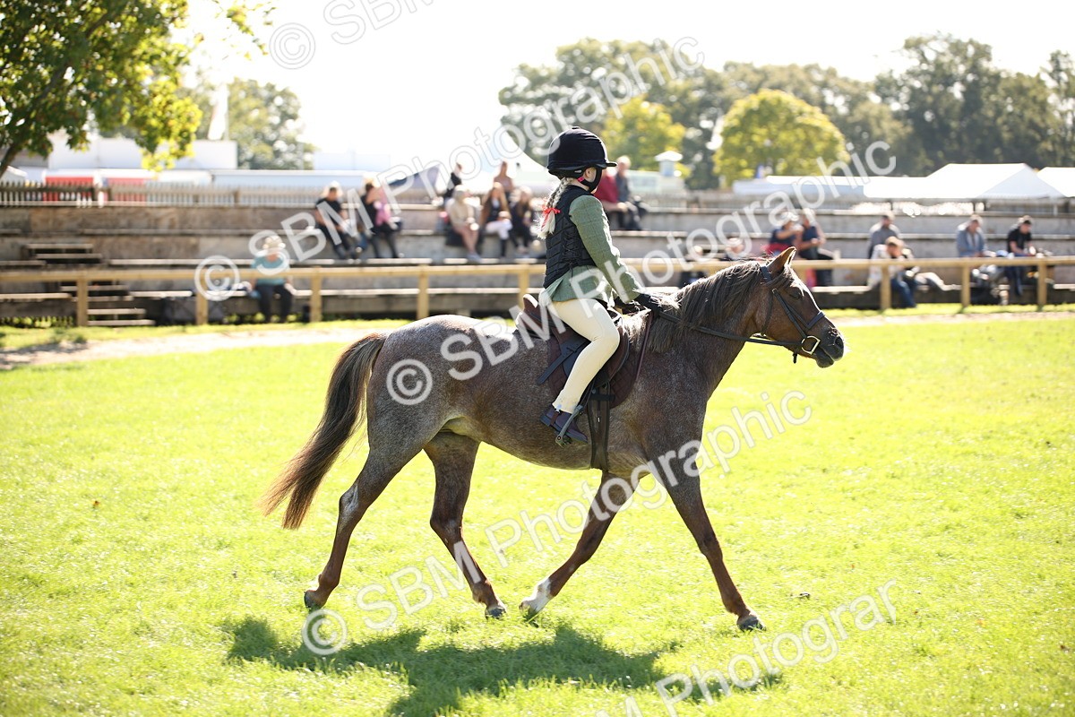 SBM_39019 - S11 - Best Ridden Horse & Pony