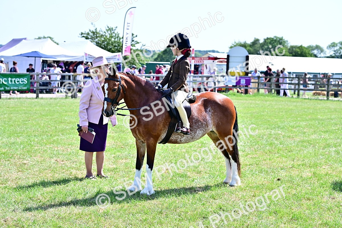 SBM_13911 - Class 95-97 - BSPS LHS Performance Ponies