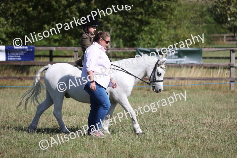 20260906-2138 - Class 16 - Family Pony