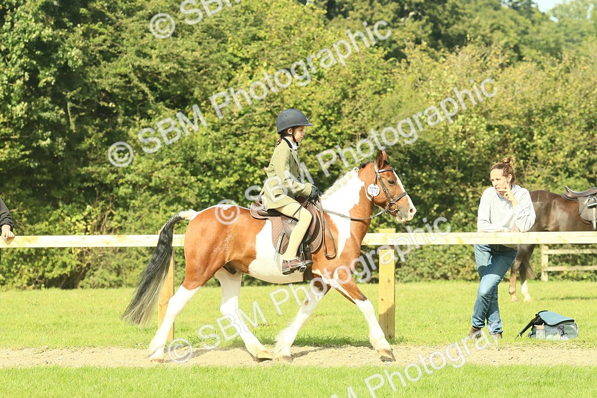 SBM_67433 - S56 - Coloured Pony Ridden