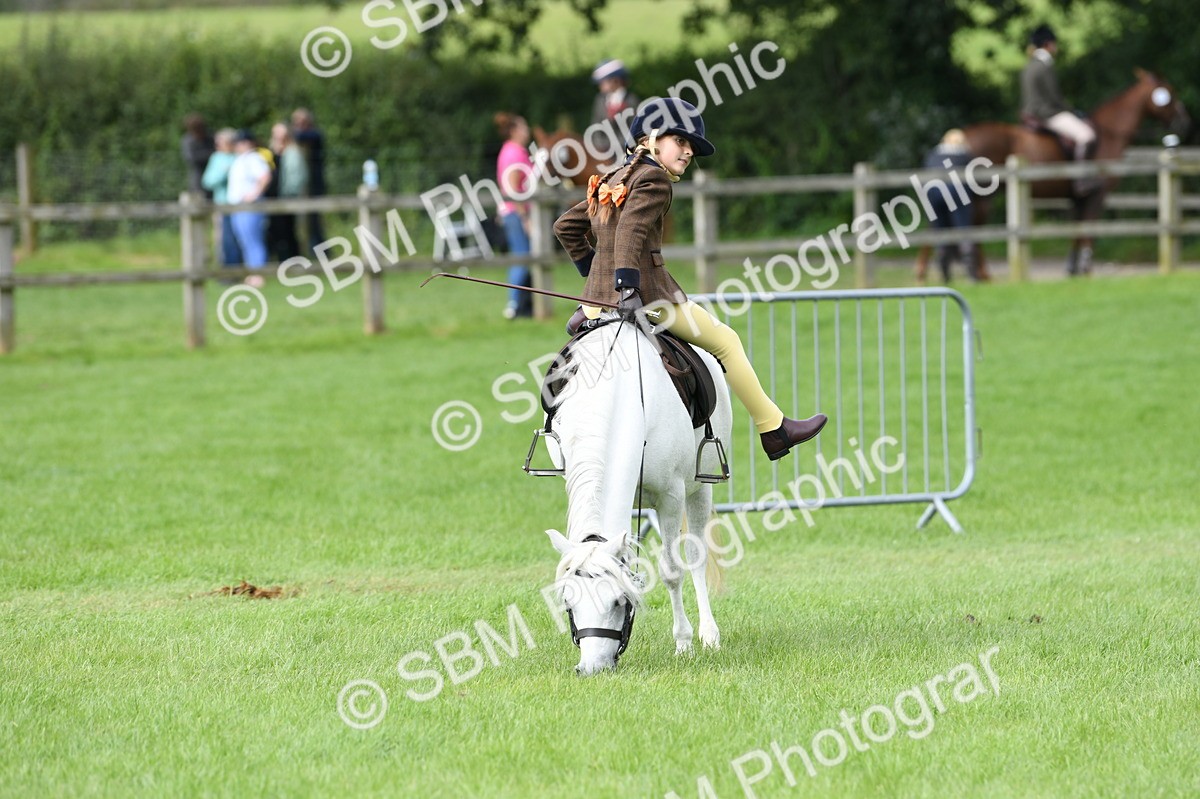 SBM_46812 - S12 - Family Horse & Pony