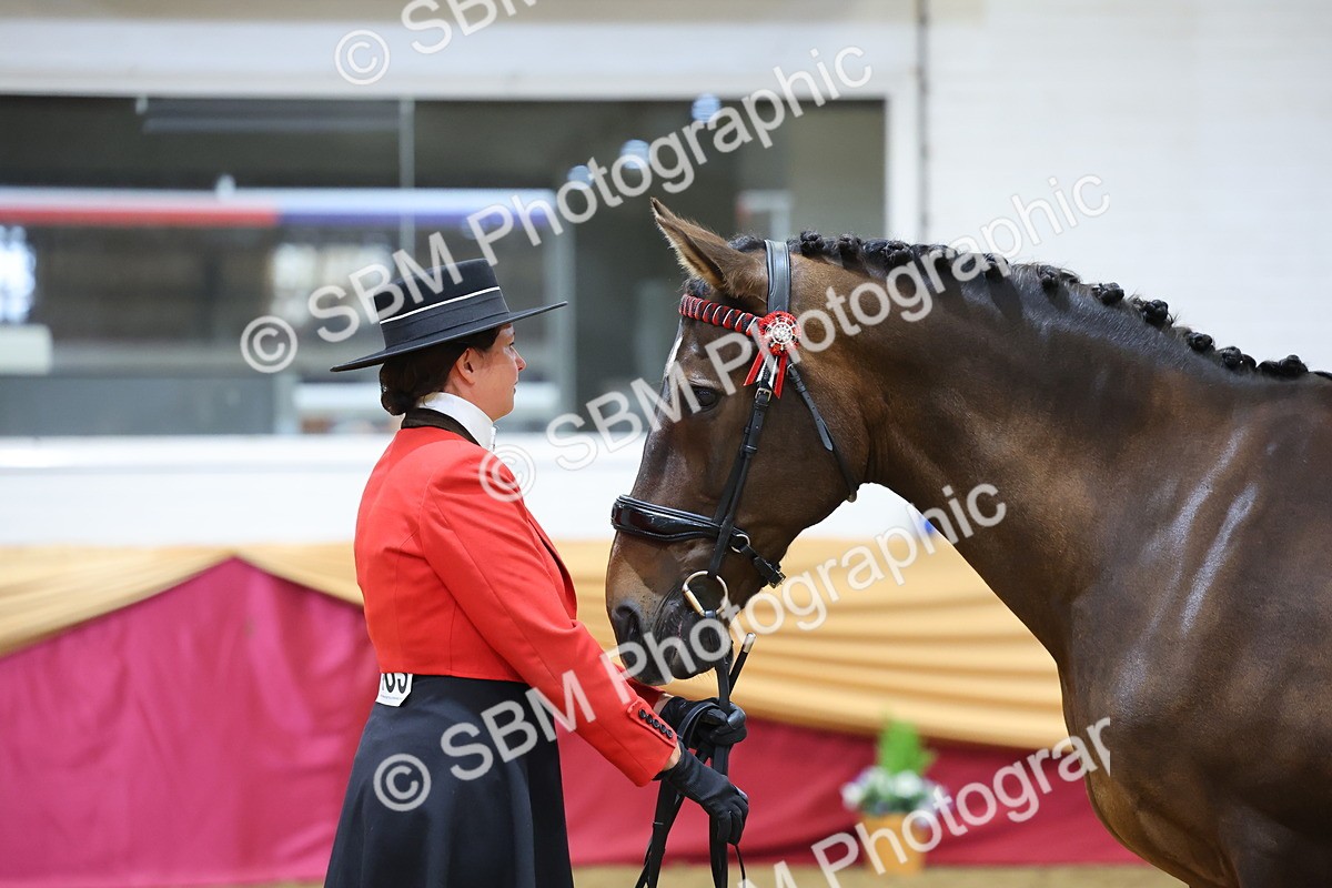 SBM_20881 - Class 902 - Supreme Final IH Veteran
