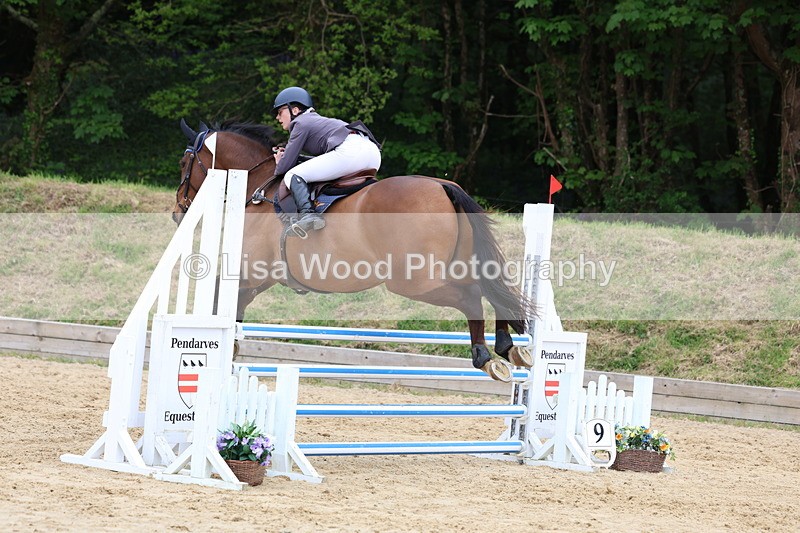 3E7A6501 - Class 4: Senior British Novice/90cm open