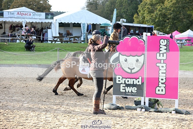 241027-152710-18312 - Presentations - BE100 3DE