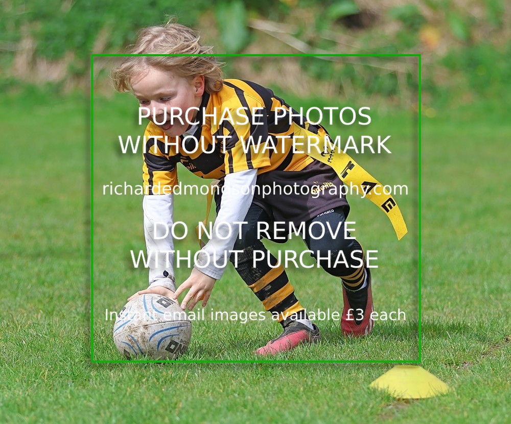 533A5383 - Kendal Rugby Under 7's (12/4/26)