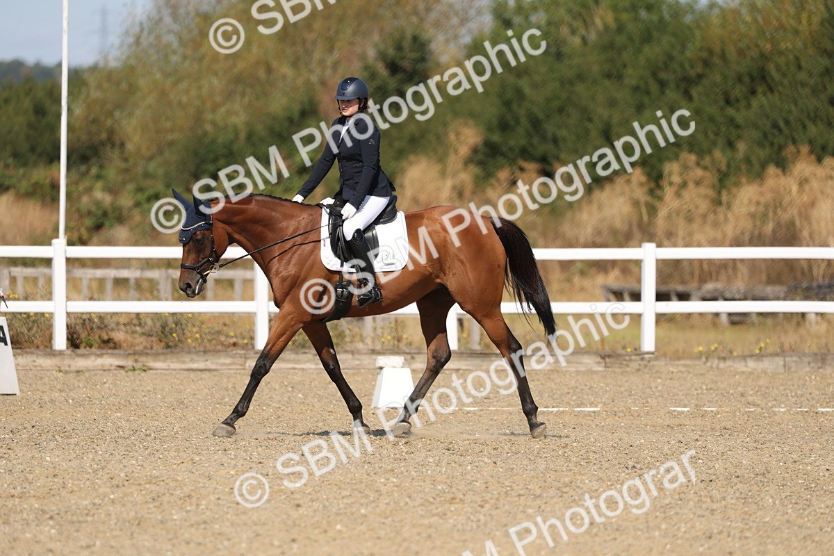 SBM_013517 - Class 1 - P5 Bronze 10.38.12.02