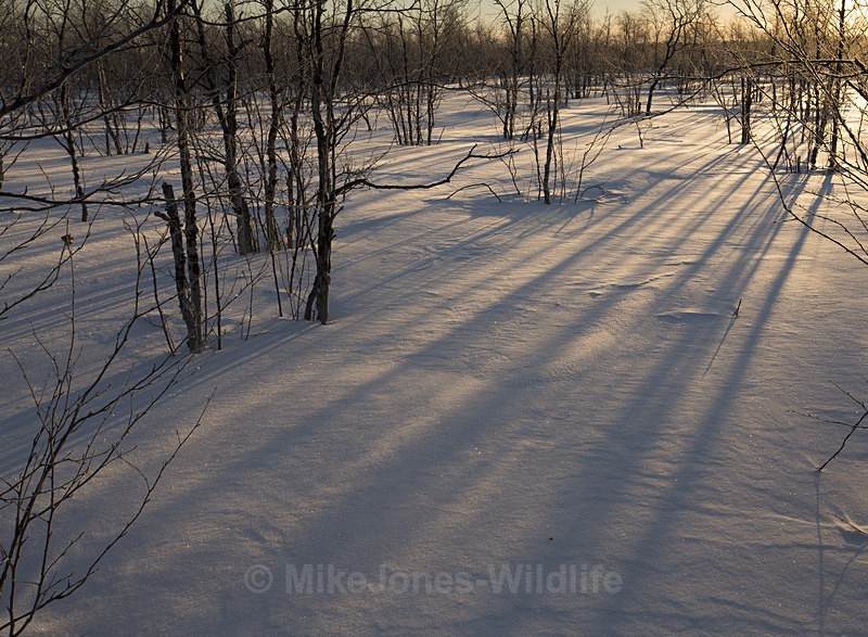Karesuando, Northern Sweden/Finland - FINLAND & SWEDEN LANDSCAPES