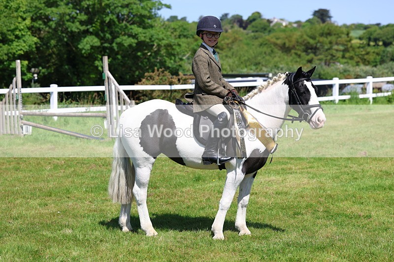 3E7A6829 - Working Hunter Pony Championship