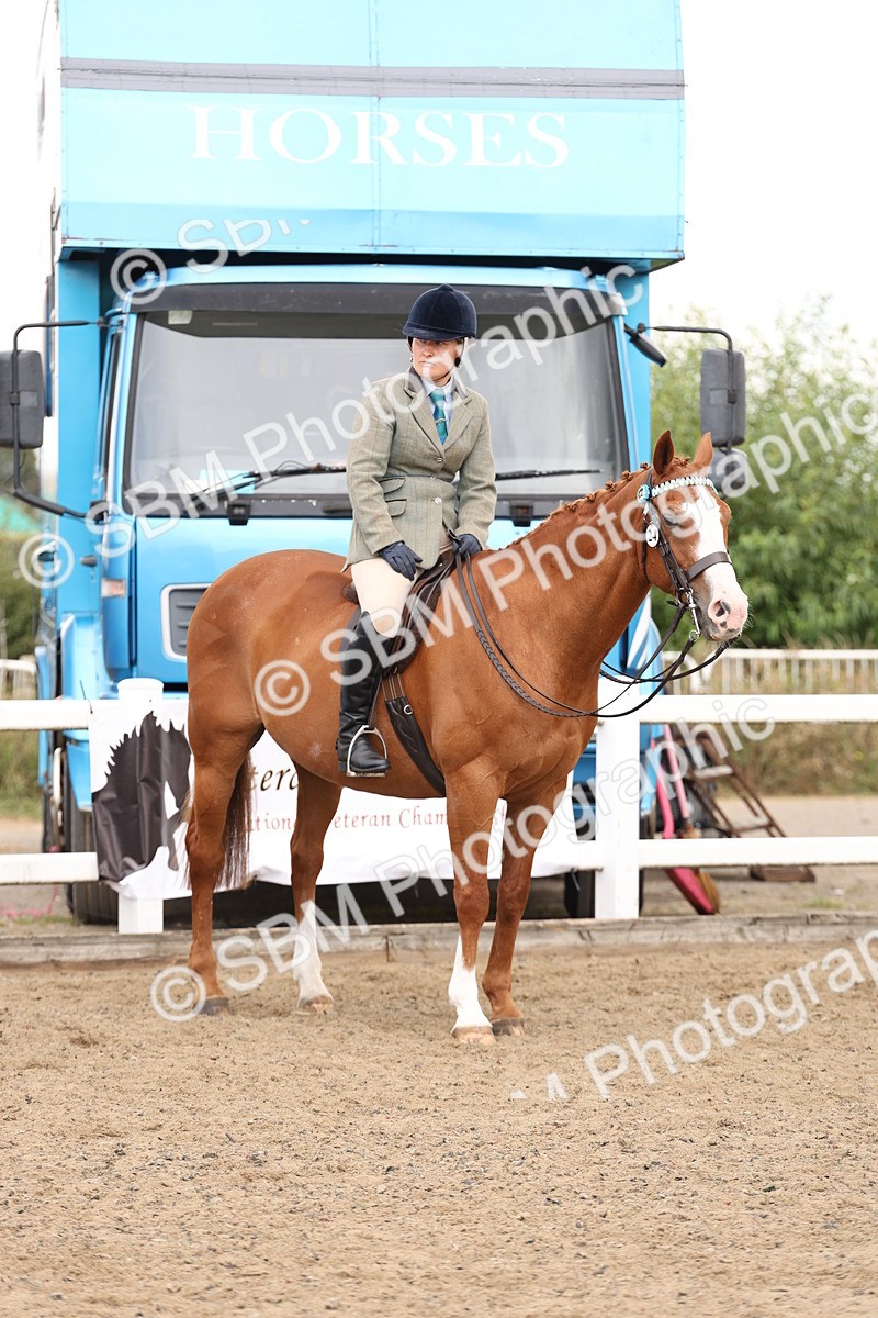 SBM_02933 - Class 53 - Ridden Competition Horse/Pony