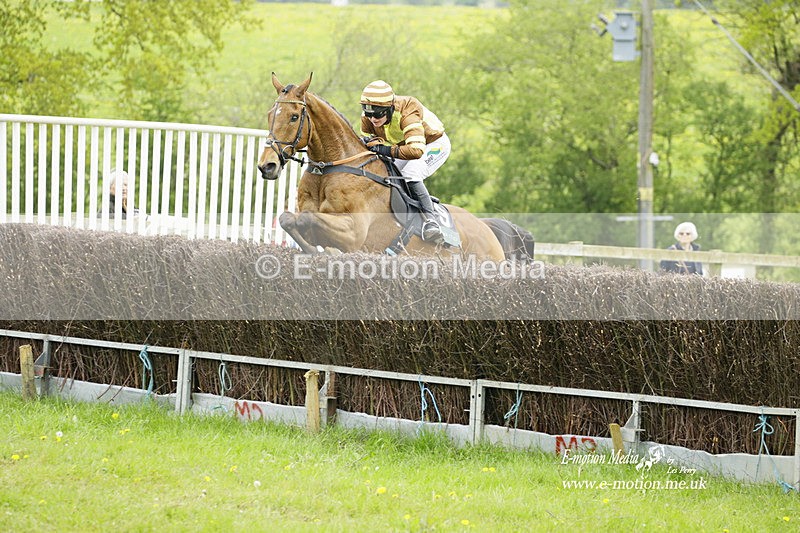 PtP 020522 146 - Mollington Races Point-to-Point 02/05/22
