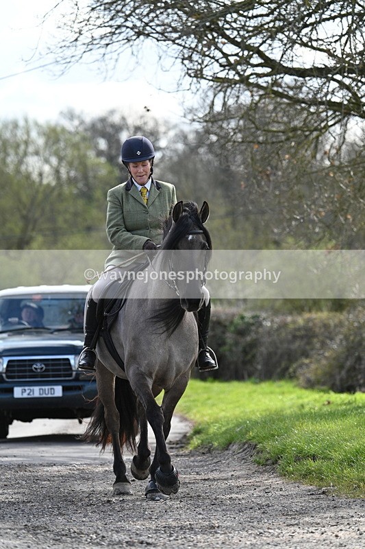 WJ7_9952 - Walk Home