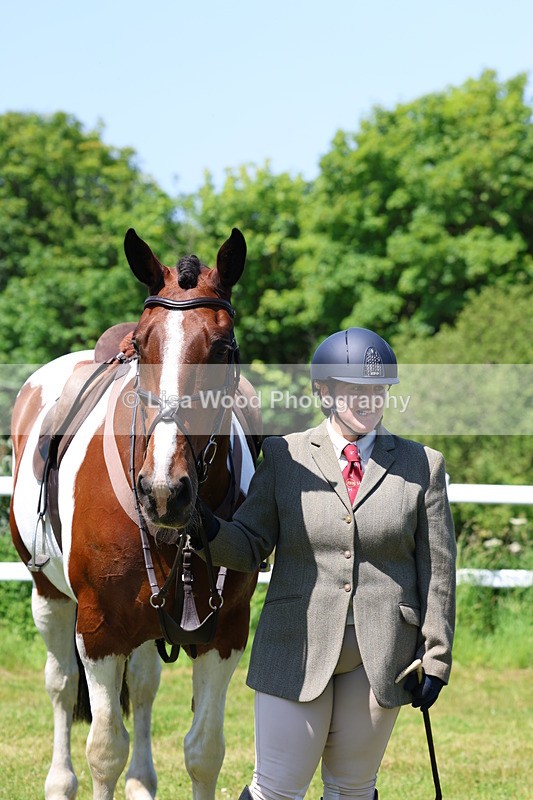 3E7A7332 - Class 30: Novice Working Hunter
