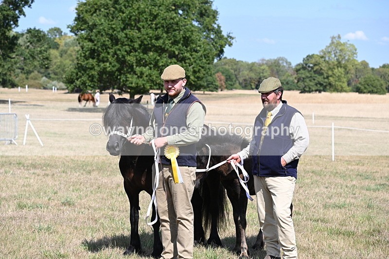 WJ6_5098 - Class 17 Mountain & Moorland