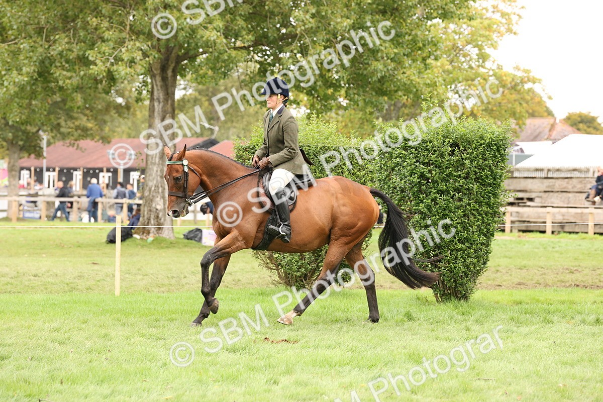 SBM_64263 - S65 - Riding Horse & Hack & Thoroughbred Ridden