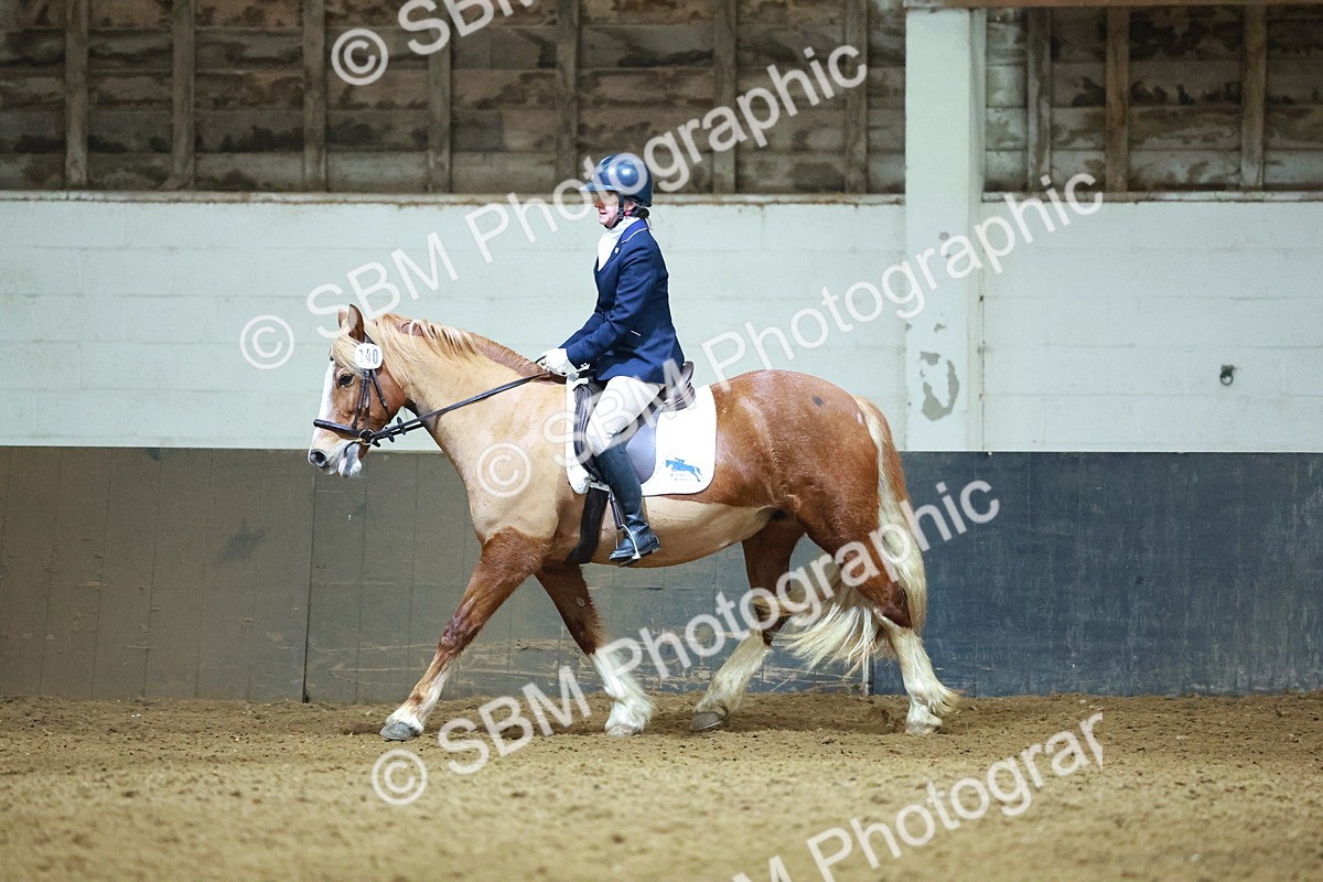 SBM_003645 - Novice 2