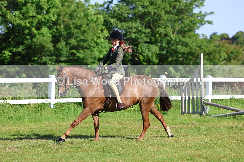 3E7A5988 - Class 27: Novice Working Hunter Pony