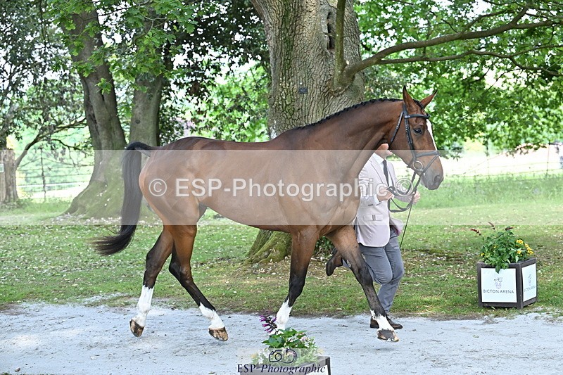 250521A-151122-00327 - B-303-Alexander.Bragg-SHANNONDALE.ALDO