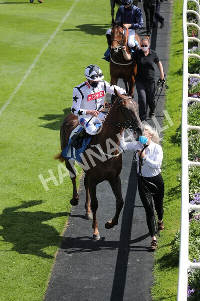 yr11062021r3-10 - Race 3 2.55pm SKF Rous Selling Stakes