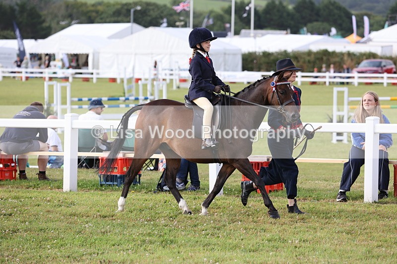 JPP_0311 - Class 14: Cornish Combination Leading Rein