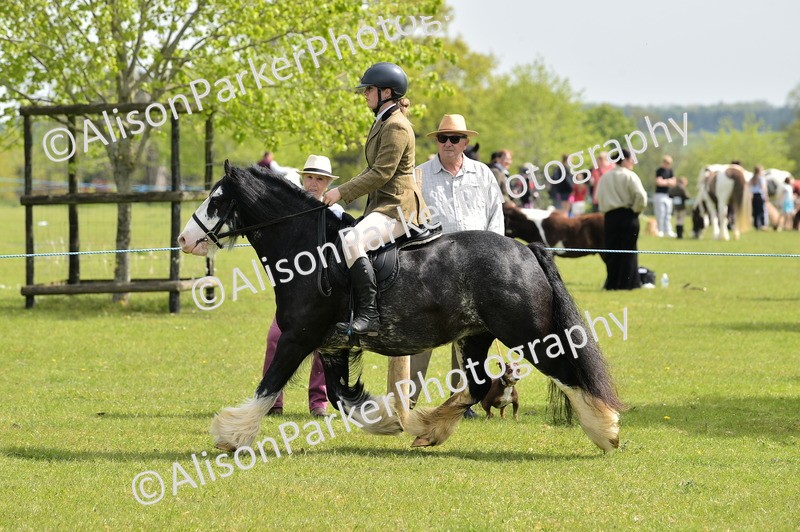 20260426-2334 - Class 20 - Beginner Working Hunter