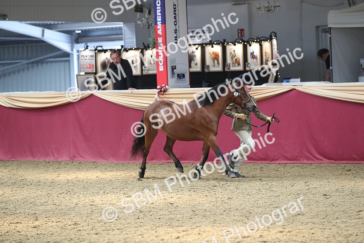 SBM_15304 - Class 501 M&M IH Supreme Final