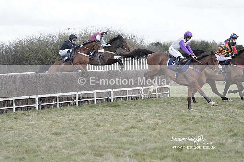 PtP 260223 424 - South & West Wilts Point-to-Point Larkhill 26/02/23