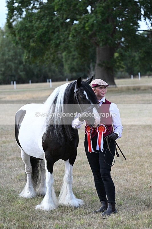WJ7_8370 - In-hand Championship