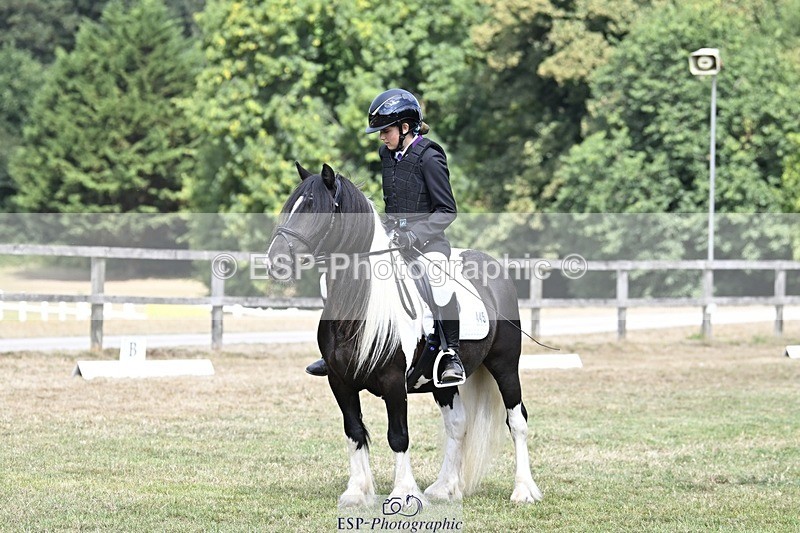 250821A-114448-15318 - DR 11.00 to 12.00