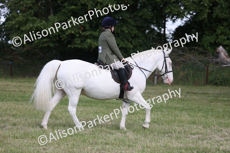 20260614-0805 - Class 20 - Beginners Working Hunter Pony