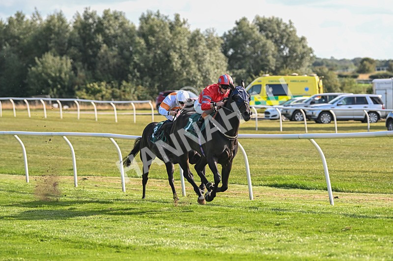 090925-Race 5-Dream Deal-9214 - Race 5