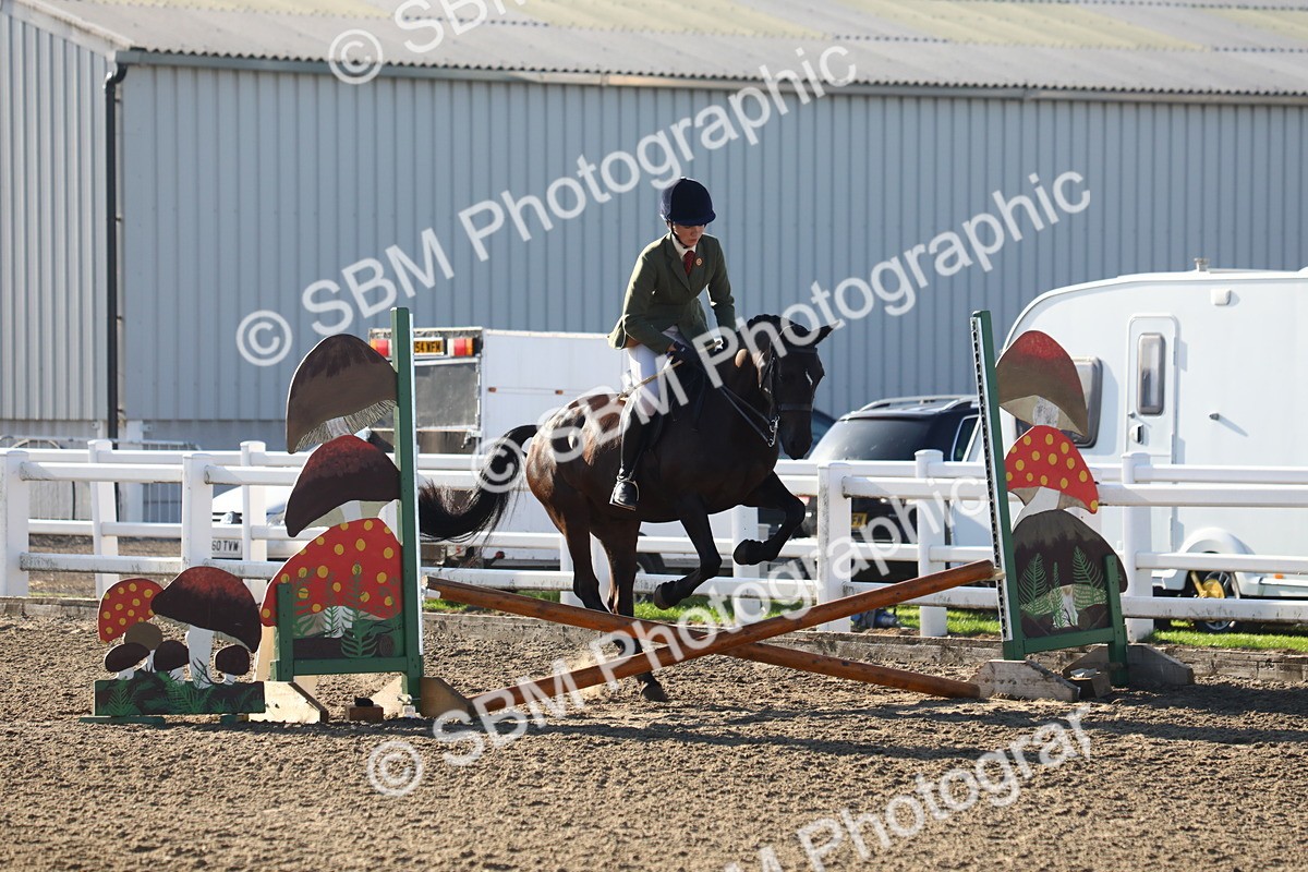 SBM_07891 - Class 501 - Riding Club Pony