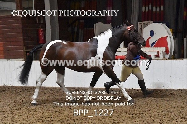 BPP_1227 - RING 2