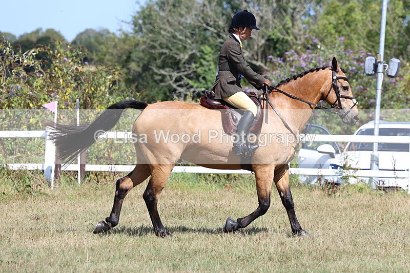3E7A6351 - Working Hunter Championship