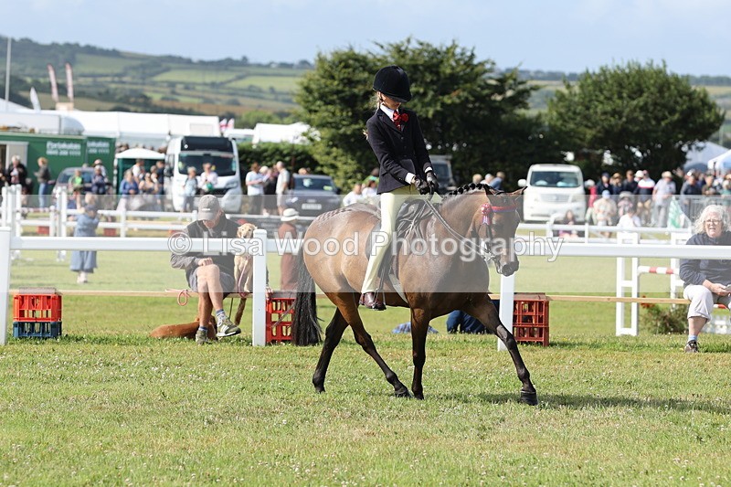 JPP_0742 - Class 16: Cornish Combination Young Rider