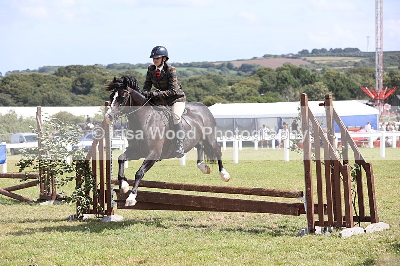 JPP_2228 - Class 19: Working Hunter 60cm