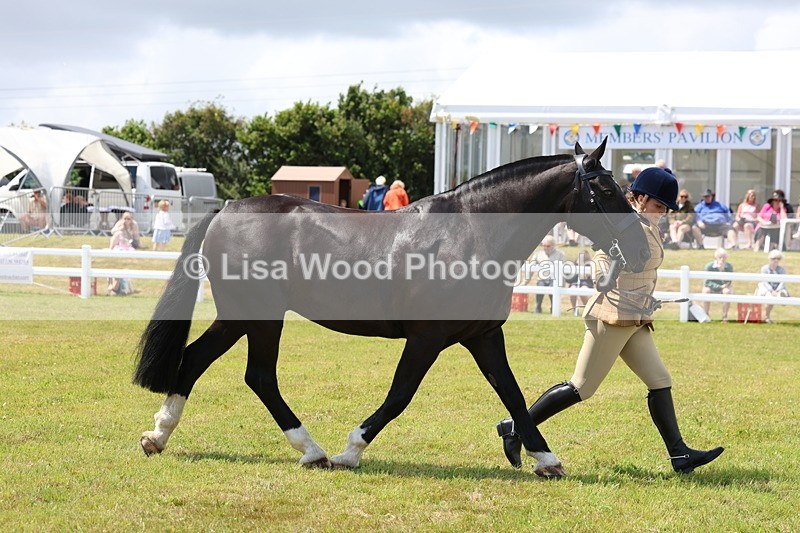 3E7A2177 - Class 10: Open Cob