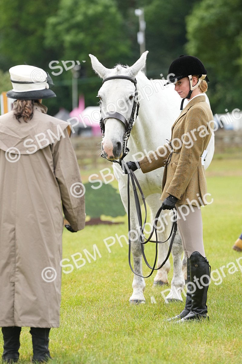 SBM_12746 - Class 97-98 - LIHS BSHA Rising Star Working Show Horse Hunter