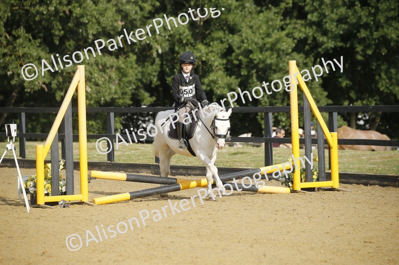 20250622-1201 - 40cm