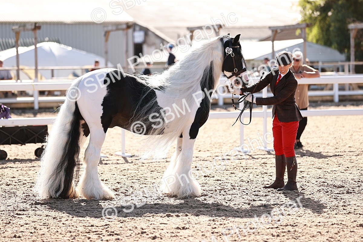 SBM_12575 - Class 404 - IH Traditional - Native Cob